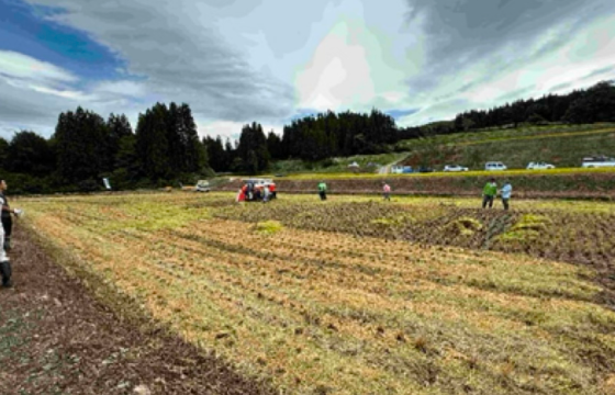 稲刈り後の棚田の様子